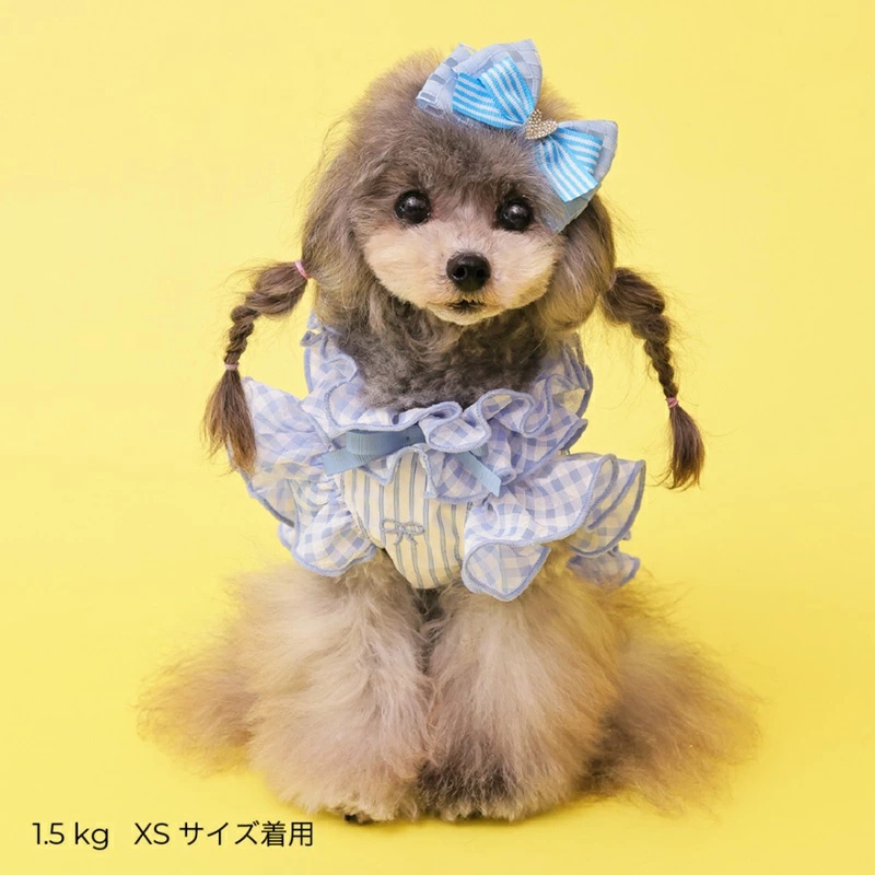 【値下対応中！】新品未使用godpiva COOLデニムハーネス リボン柄 S ゴッドピヴァ GODPIVA ☆ご予約☆ COOLデニムハーネス XXS/XS/S/SM/M