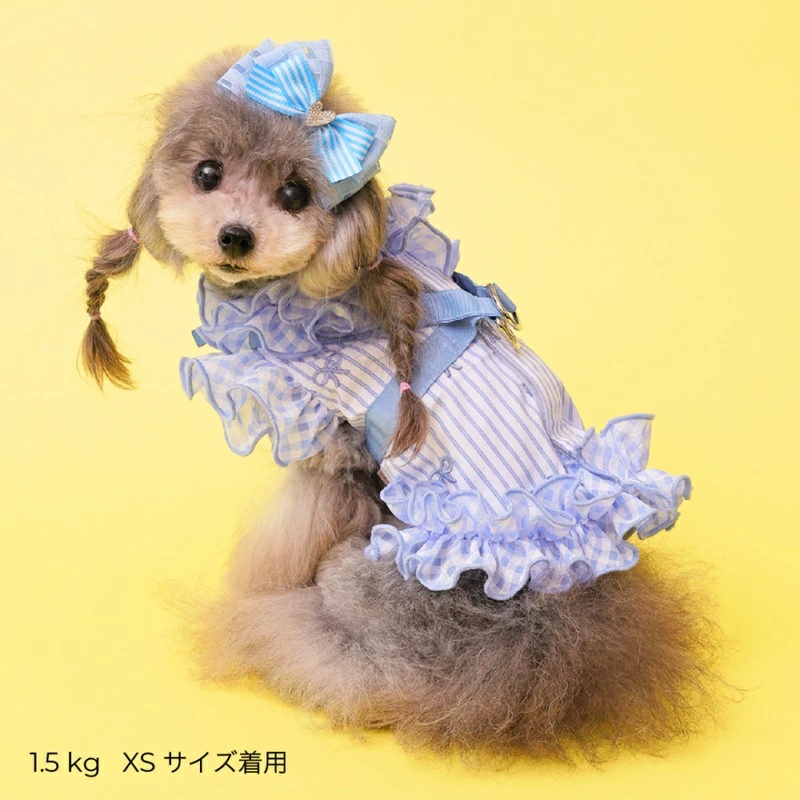 ピコネ　ペット服 水色ストライプドレスとリボン ゴッドピヴァ GODPIVA COOLストライプリボンハーネス XXS/XS/S/SM/M