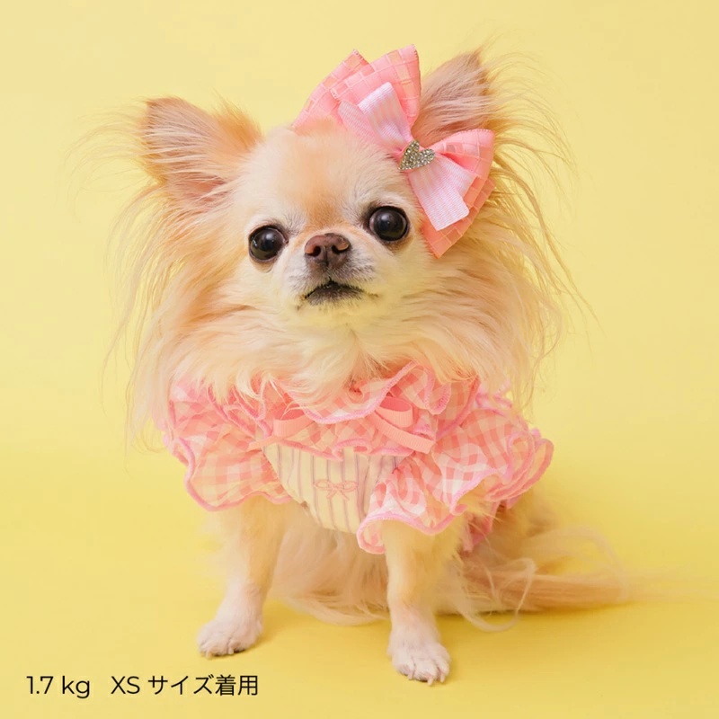 ゴッドピヴァ GODPIVA ☆ご予約☆ COOLストライプリボンフリルハーネス