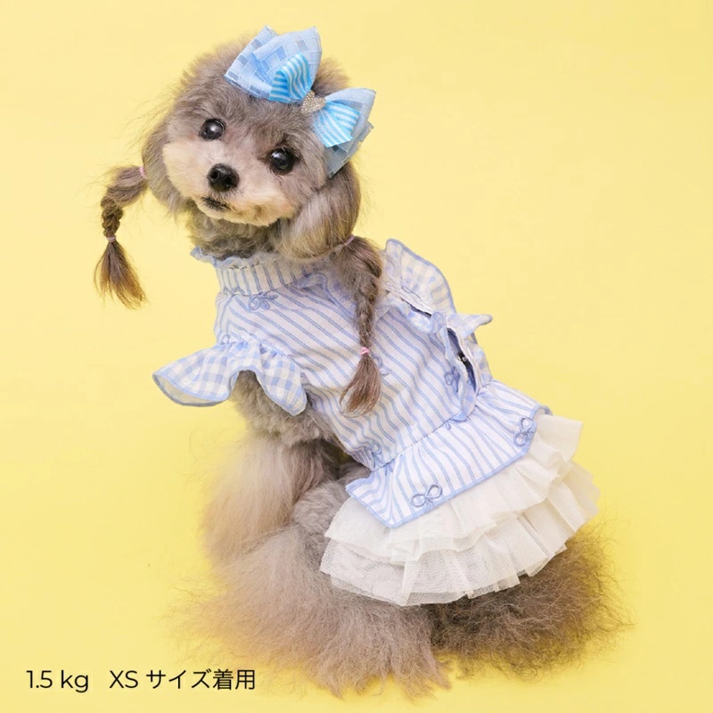 godpiva 犬服の商品一覧 通販 - Yahoo!ショッピング