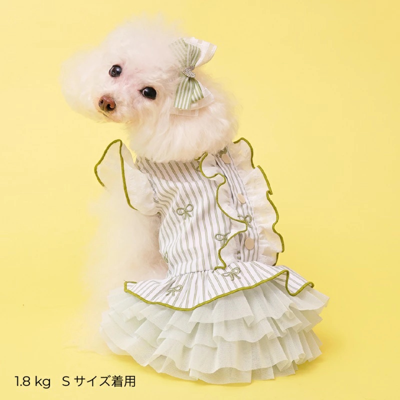 godpiva 犬服の商品一覧 通販 - Yahoo!ショッピング