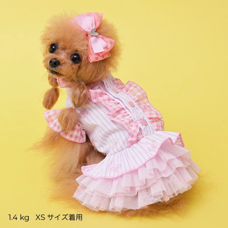 godpiva 犬服の商品一覧 通販 - Yahoo!ショッピング