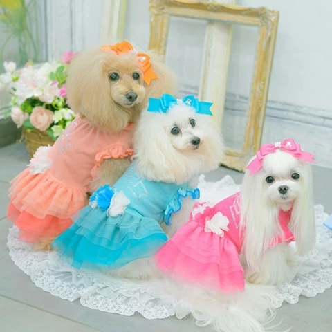 きゃんナナ CanNana チュールバレリーナワンピース 1183 SS/S/S+M/M/L【小型犬 犬服 ドッグウェア ワンピース ドレス スカート】の画像