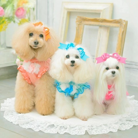きゃんナナ CanNana チュールバレリーナワンピース 1183 SS/S/S+M/M/L【小型犬 犬服 ドッグウェア ワンピース ドレス スカート】の画像