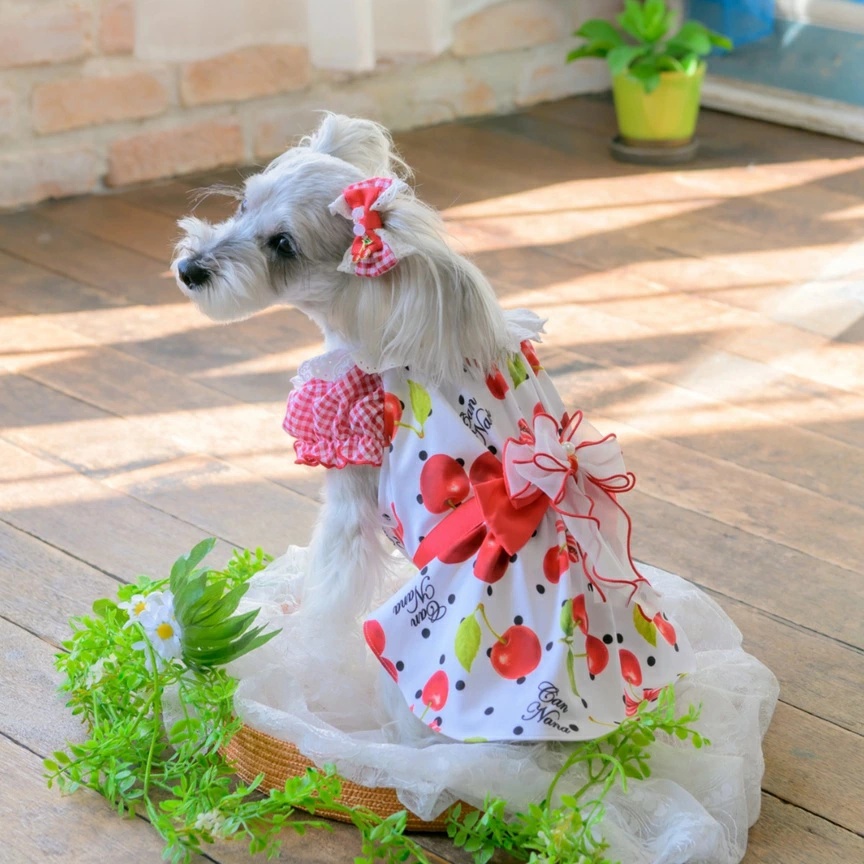 きゃんナナ CanNana オリジナルさくらんぼ柄COOLワンピース 1182 SS/S/S+M/M/L【小型犬 犬服 ドッグウェア ワンピース ドレス スカート】の画像