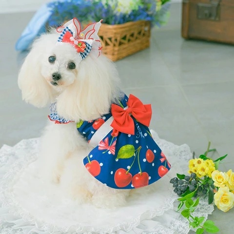 きゃんナナ CanNana オリジナルさくらんぼ柄COOLワンピース 1182 SS/S/S+M/M/L【小型犬 犬服 ドッグウェア ワンピース ドレス スカート】の画像