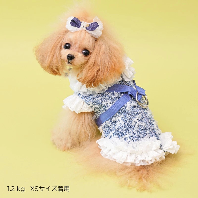 ゴッドピヴァ GODPIVA ★ご予約★ COOLデニムハーネス XXS/XS/S/SM/M【犬用 ハーネス COOL クール セレブ】の画像