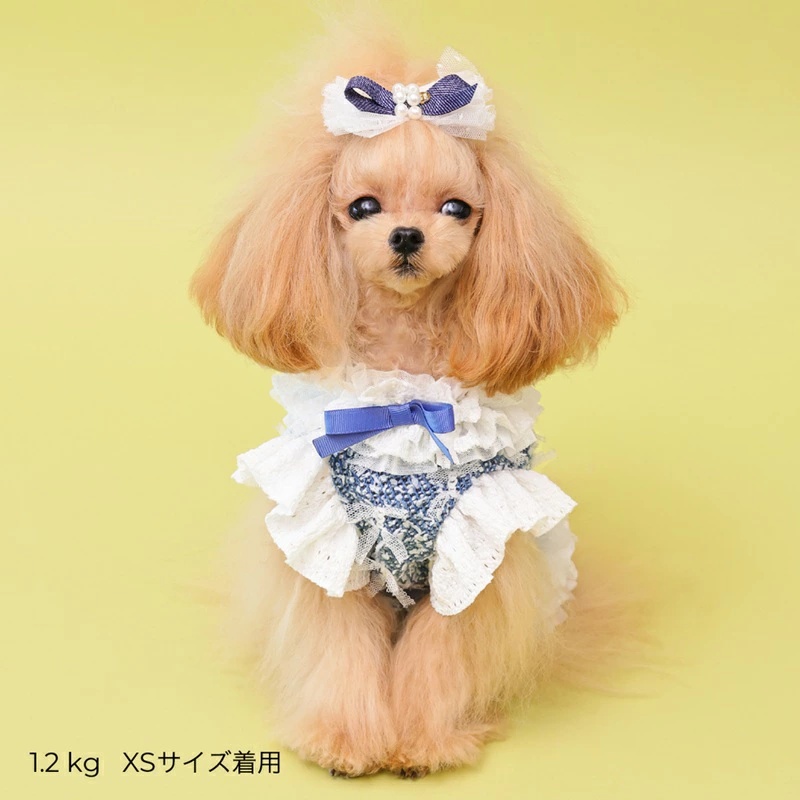 ゴッドピヴァ GODPIVA ★ご予約★ COOLデニムハーネス XXS/XS/S/SM/M【犬用 ハーネス COOL クール セレブ】の画像