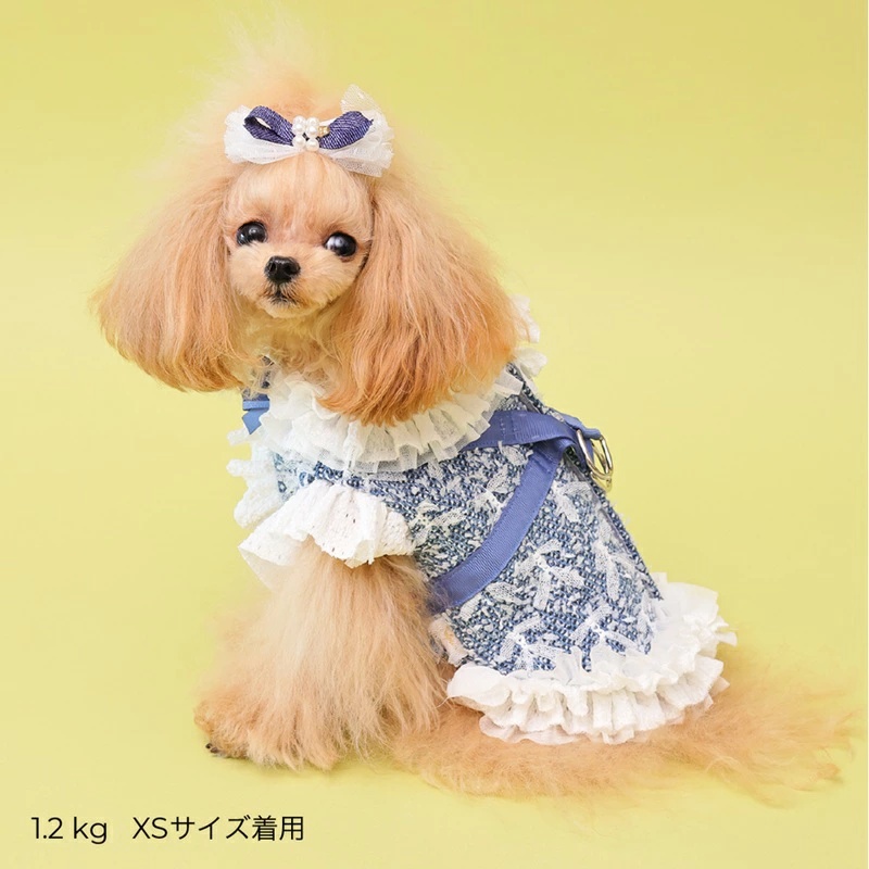 ゴッドピヴァ GODPIVA ★ご予約★ COOLデニムハーネス XXS/XS/S/SM/M【犬用 ハーネス COOL クール セレブ】の画像