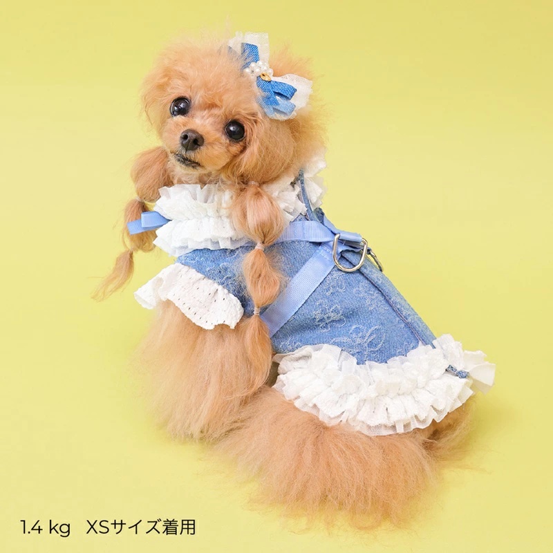 【値下対応中！】新品未使用godpiva COOLデニムハーネス リボン柄 S ゴッドピヴァ GODPIVA ☆ご予約☆ COOLデニムハーネス XXS/XS/S/SM/M