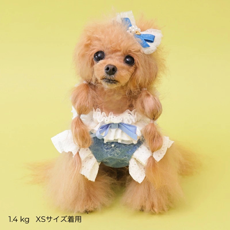 ゴッドピヴァ GODPIVA ★ご予約★ COOLデニムハーネス XXS/XS/S/SM/M【犬用 ハーネス COOL クール セレブ】の画像
