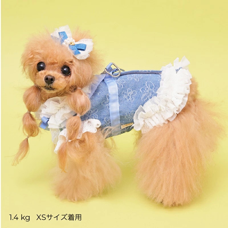 ゴッドピヴァ GODPIVA ★ご予約★ COOLデニムハーネス XXS/XS/S/SM/M【犬用 ハーネス COOL クール セレブ】の画像
