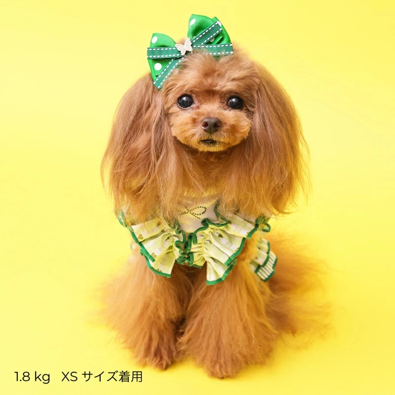 godpiva 犬服のおすすめ人気商品一覧 通販 - Yahoo!ショッピング