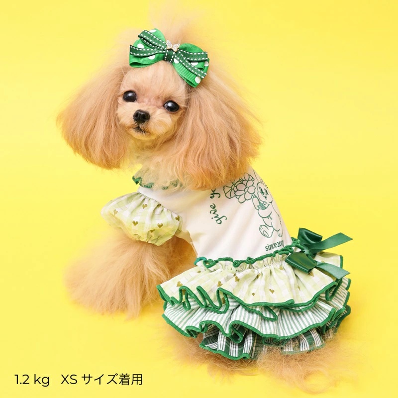 ゴッドピヴァ GODPIVA ★ご予約★ COOLラビットコラージュワンピース XXS/XS/S/SM/M/L【犬服 ドッグウエア ウエア ワンピース ドレス スカート セレブ】の画像