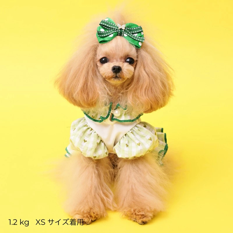 ゴッドピヴァ GODPIVA ★ご予約★ COOLラビットコラージュワンピース XXS/XS/S/SM/M/L【犬服 ドッグウエア ウエア ワンピース ドレス スカート セレブ】の画像