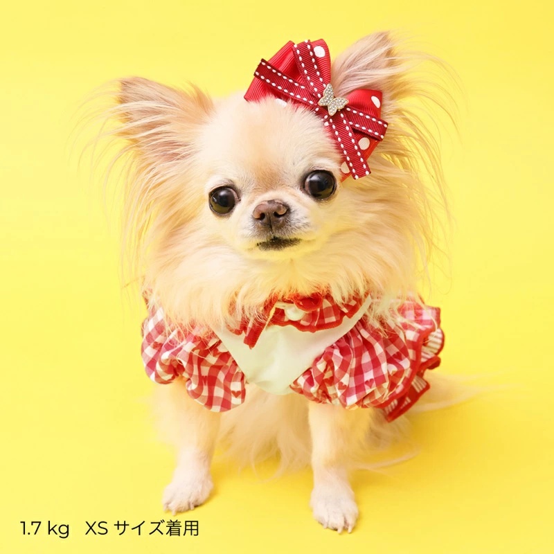 ゴッドピヴァ GODPIVA ★ご予約★ COOLラビットコラージュワンピース XXS/XS/S/SM/M/L【犬服 ドッグウエア ウエア ワンピース ドレス スカート セレブ】の画像