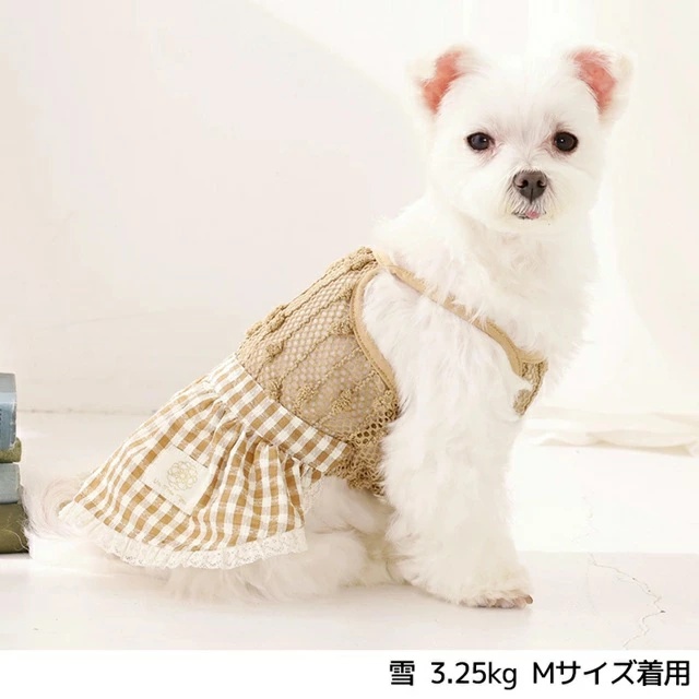 アントゥトゥ Un TouTou ポコポコワンピース XL/XXL【犬服 ドッグ