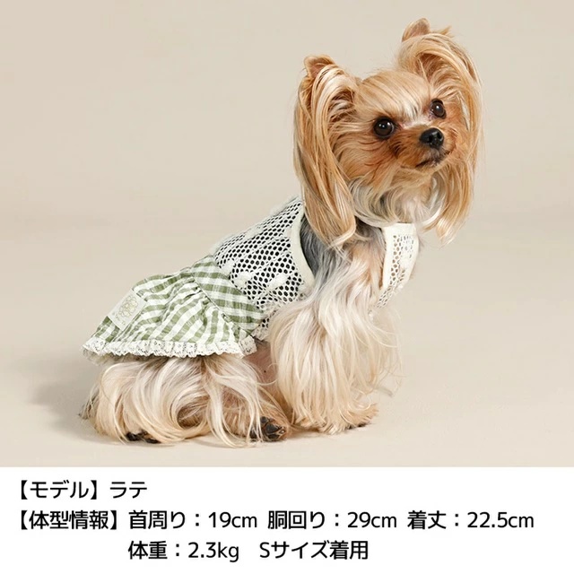 アントゥトゥ Un TouTou ポコポコワンピース XL/XXL【犬服 ドッグ