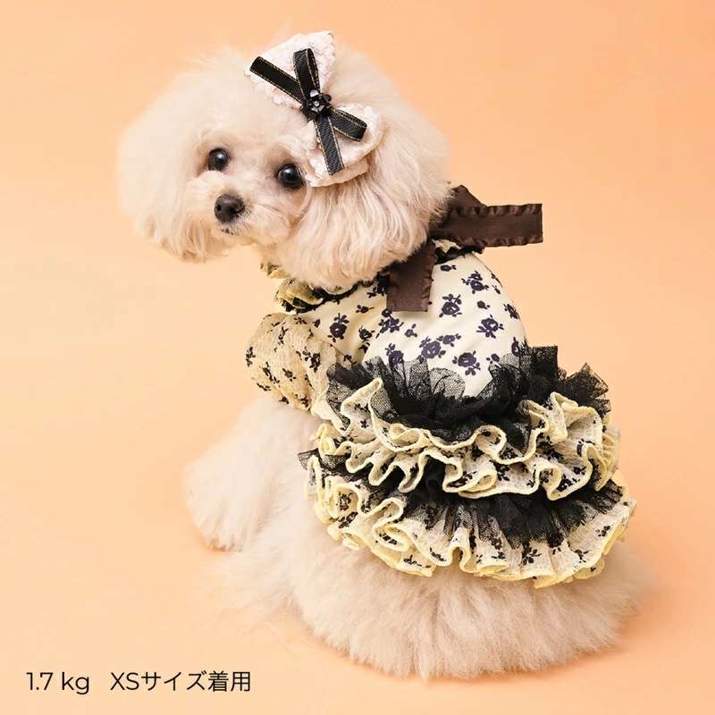ゴッドピヴァ GODPIVA ★ご予約★ COOLサッカーブロッサムワンピース XXS/XS/S/SM/M/L【犬服 ドッグウエア ウエア ワンピース ドレス スカート セレブ】の画像