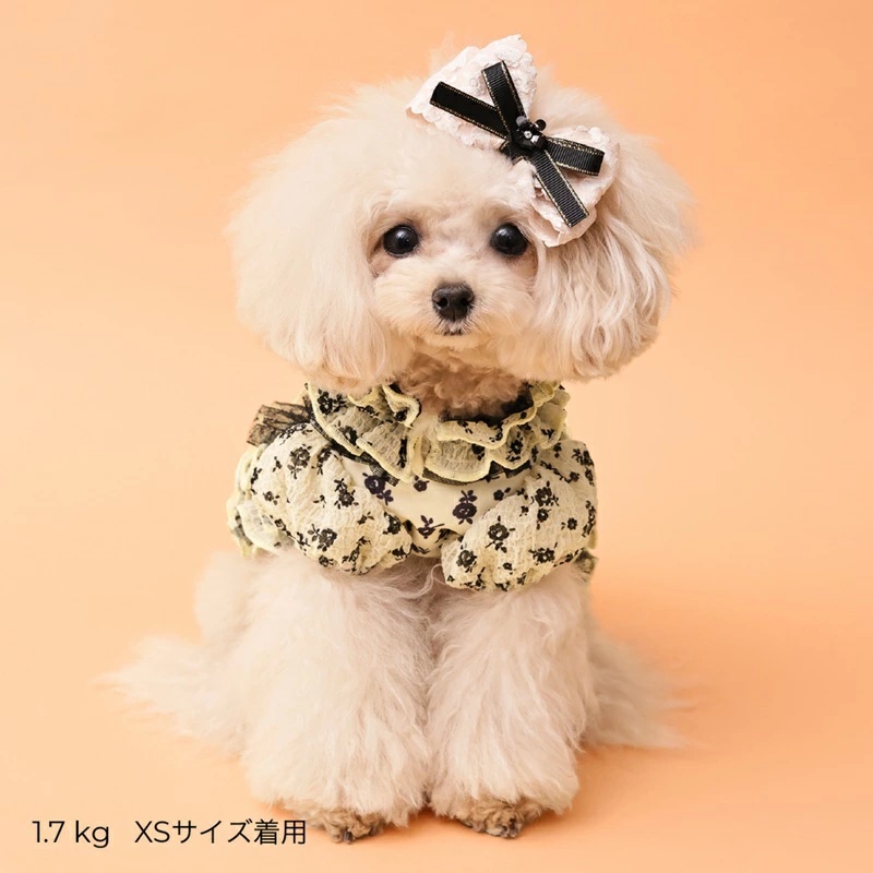 ゴッドピヴァ GODPIVA ★ご予約★ COOLサッカーブロッサムワンピース XXS/XS/S/SM/M/L【犬服 ドッグウエア ウエア ワンピース ドレス スカート セレブ】の画像