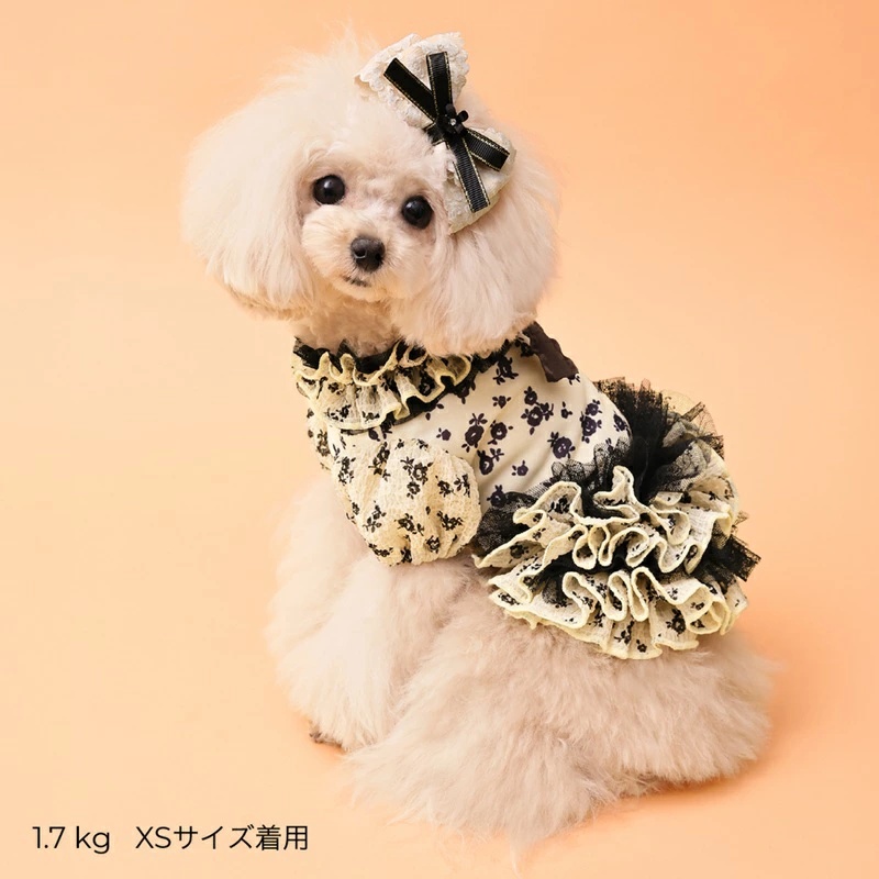 ゴッドピヴァ GODPIVA ★ご予約★ COOLサッカーブロッサムワンピース XXS/XS/S/SM/M/L【犬服 ドッグウエア ウエア ワンピース ドレス スカート セレブ】の画像
