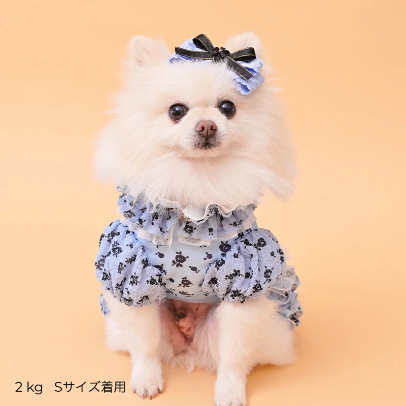 ゴッドピヴァ GODPIVA ★ご予約★ COOLサッカーブロッサムワンピース XXS/XS/S/SM/M/L【犬服 ドッグウエア ウエア ワンピース ドレス スカート セレブ】の画像
