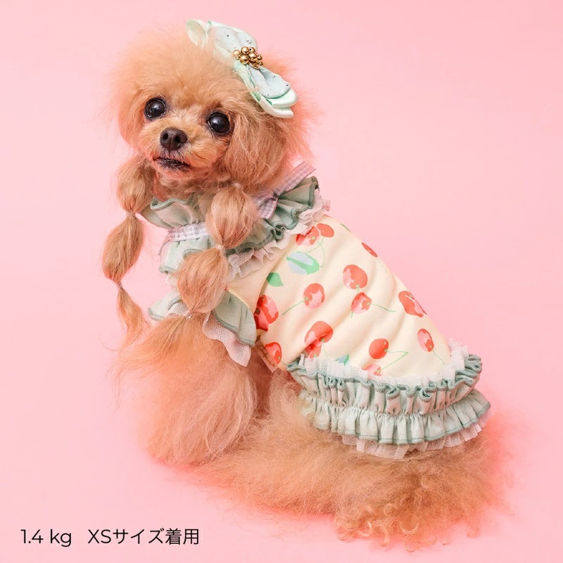 ゴッドピヴァ GODPIVA ☆ご予約☆ COOLプティチェリータンク XXS/XS/S