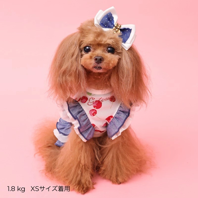 godpiva 犬服の商品一覧 通販 - Yahoo!ショッピング