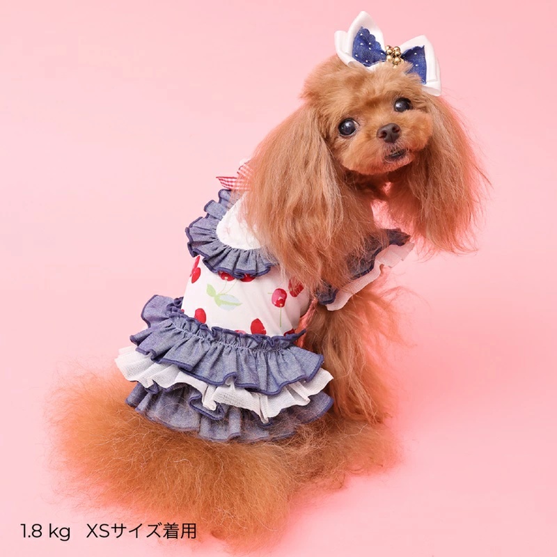godpiva 犬服のおすすめ人気商品一覧 通販 - Yahoo!ショッピング