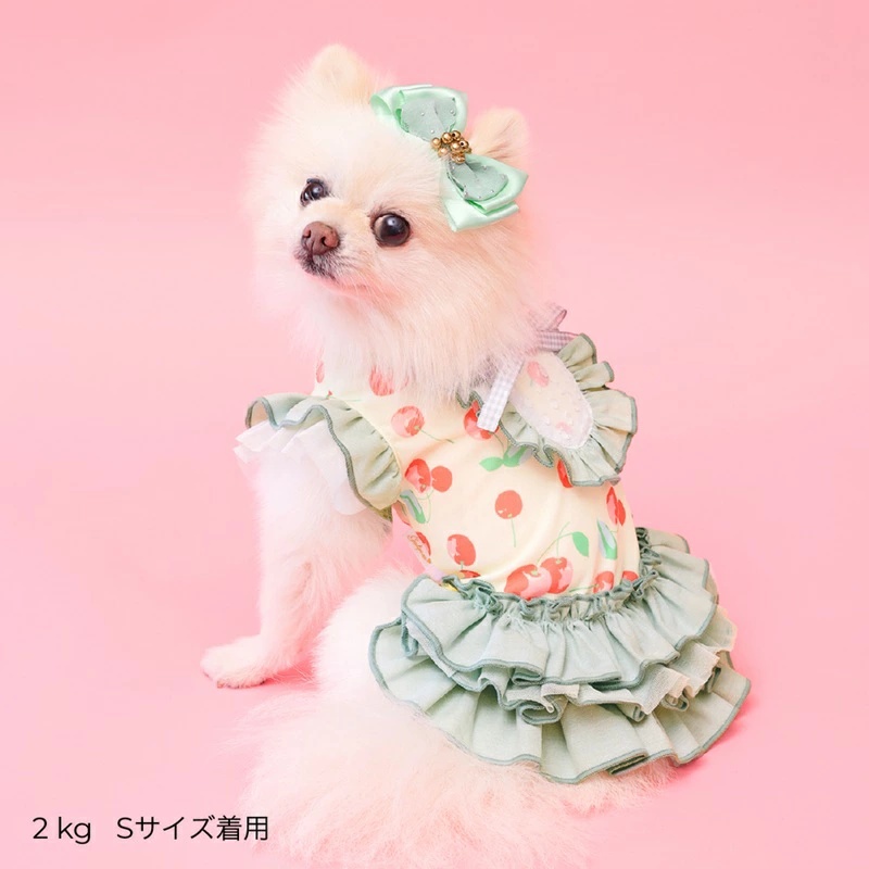 godpiva 犬服のおすすめ人気商品一覧 通販 - Yahoo!ショッピング