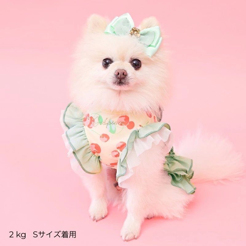 godpiva 犬服のおすすめ人気商品一覧 通販 - Yahoo!ショッピング