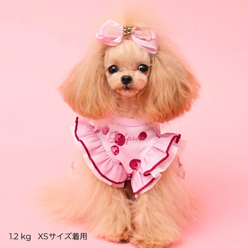 godpiva 犬服のおすすめ人気商品一覧 通販 - Yahoo!ショッピング