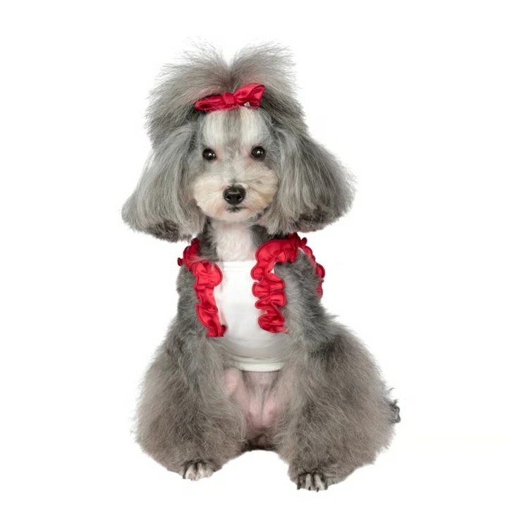 TIARA PETS JAPAN - Charlotte's Dress シャーロットドレス｜Yahoo