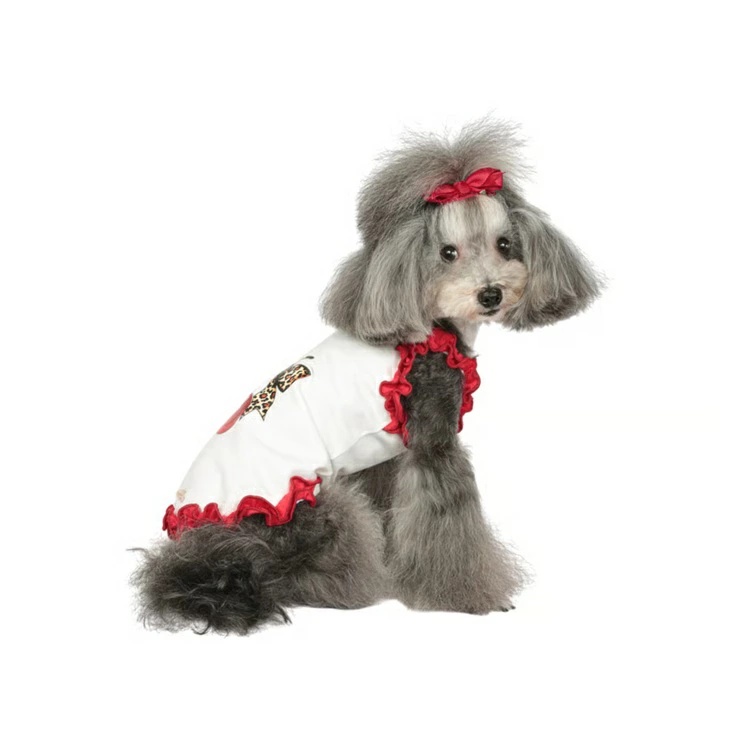 TIARA PETS JAPAN - Charlotte's Dress シャーロットドレス｜Yahoo