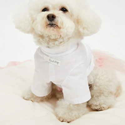 犬服・アクセサリー louisdog White Pearl Blouse louisdog ルイスドッグ（犬の服）｜犬服、アクセサリー｜犬用品