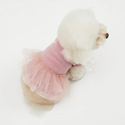TIARA PETS JAPAN - louisdog ルイスドッグ｜Yahoo!ショッピング
