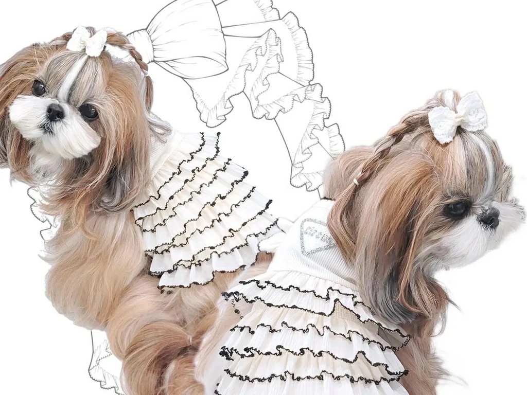 サーカスサーカス 犬服の商品一覧 通販 - Yahoo!ショッピング