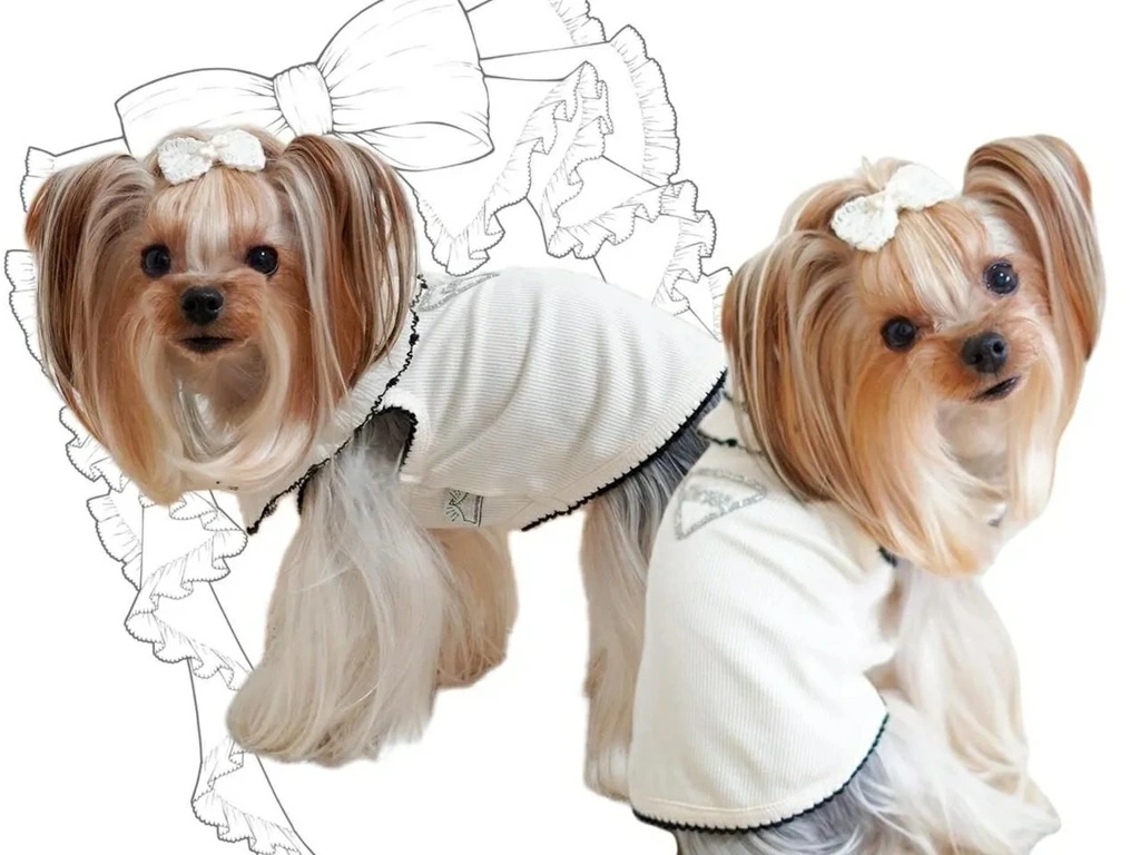 サーカスサーカス 犬服の商品一覧 通販 - Yahoo!ショッピング