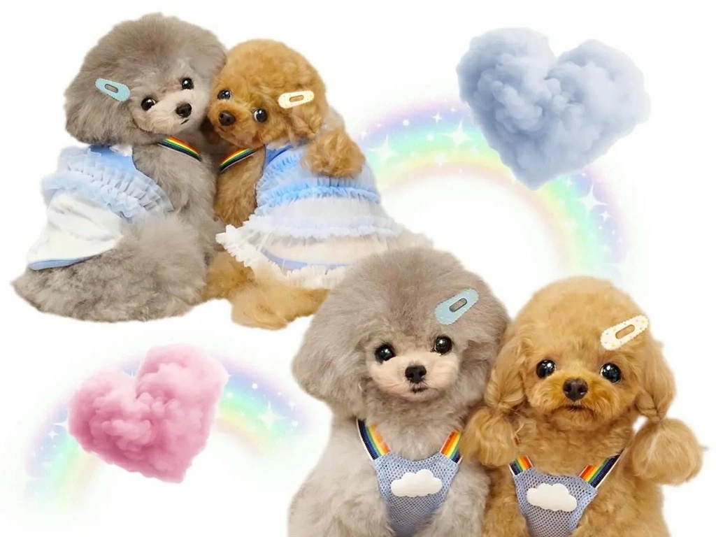 サーカスサーカス 犬服の商品一覧 通販 - Yahoo!ショッピング