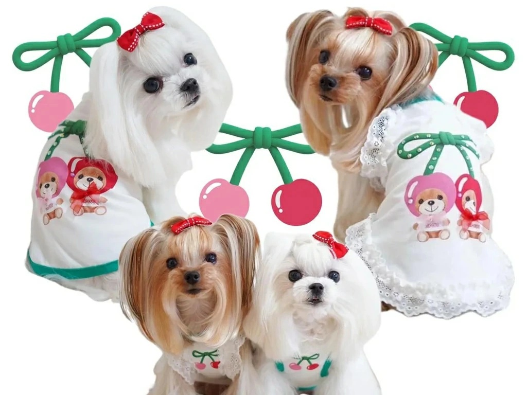 サーカスサーカス 犬服（犬の服）｜犬服、アクセサリー｜犬用品