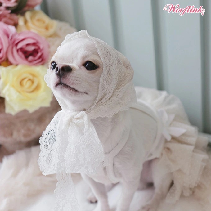 TIARA PETS JAPAN - WOOFLINK ウーフリンク｜Yahoo!ショッピング