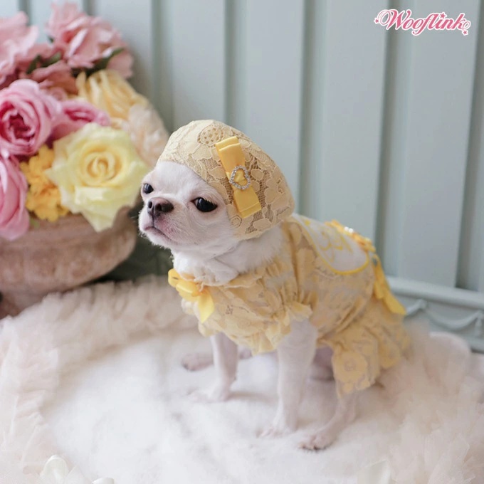 TIARA PETS JAPAN - WOOFLINK ウーフリンク｜Yahoo!ショッピング