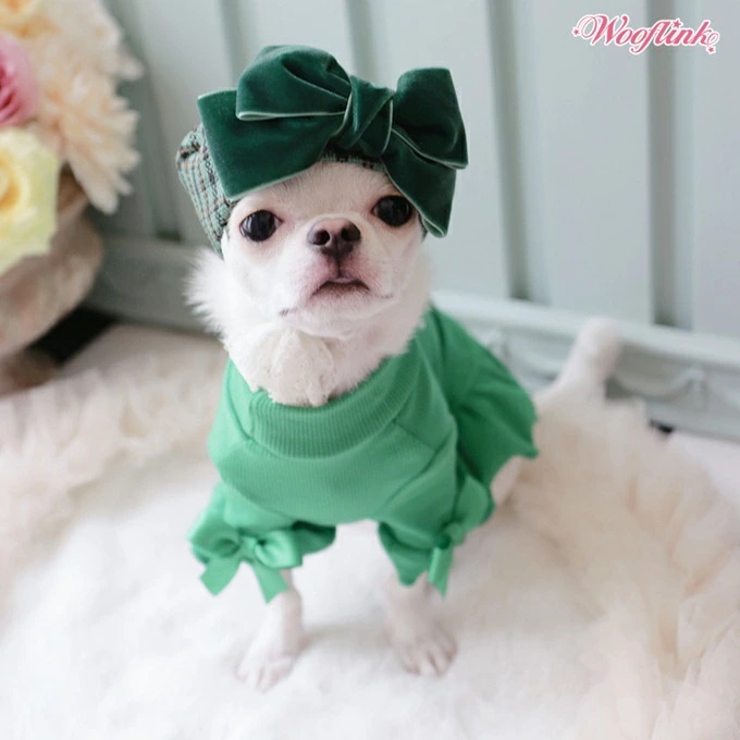 TIARA PETS JAPAN - WOOFLINK ウーフリンク｜Yahoo!ショッピング