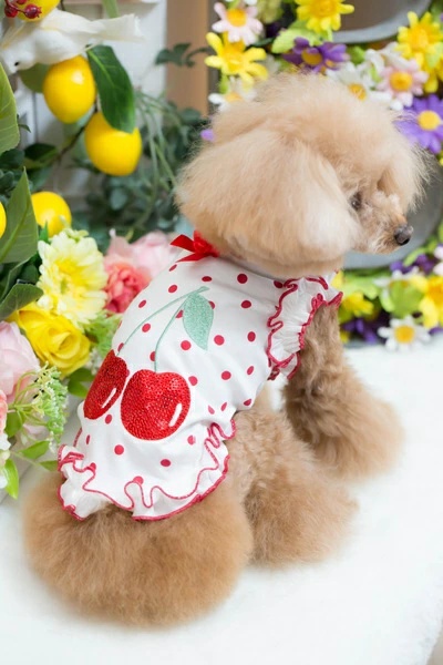 犬用品 bulbubu Sweets Paradise O/P ブルブブサイズ ss