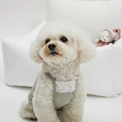 TIARA PETS JAPAN - louisdog ルイスドッグ｜Yahoo!ショッピング
