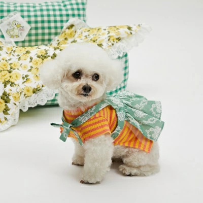 TIARA PETS JAPAN - louisdog ルイスドッグ｜Yahoo!ショッピング
