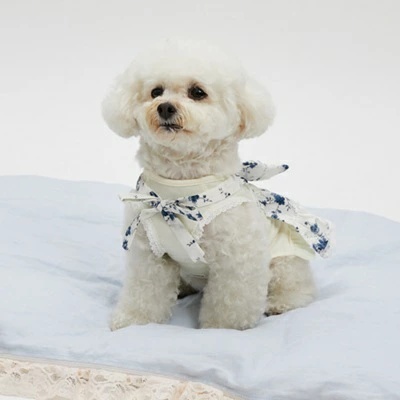 louisdog ルイスドッグ（犬の服）｜犬服、アクセサリー｜犬用品