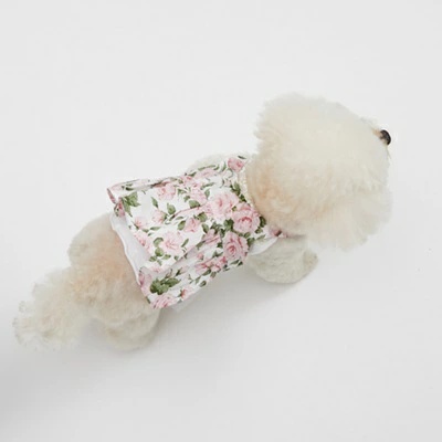 TIARA PETS JAPAN - louisdog ルイスドッグ｜Yahoo!ショッピング