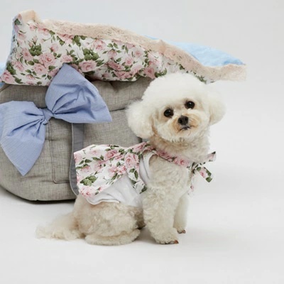 TIARA PETS JAPAN - louisdog ルイスドッグ｜Yahoo!ショッピング