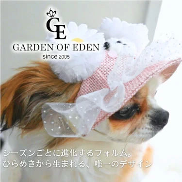 TIARA PETS JAPAN